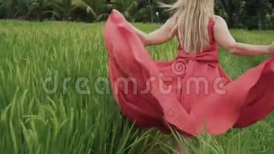 模特穿着一件鲜红色连衣裙从模特背上拍下来的特写慢镜头赤脚穿过稻田，手持